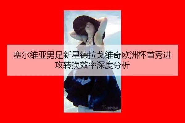 sai-er-wei-ya-nan-zu-xin-xing-de-la-ge-wei-qi-ou-zhou-bei-shou-xiu-jin-gong-zhuan-huan-xiao-lv-shen-du-fen-xi-2-597.jpg